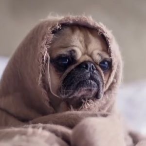 Meet your Posher, Vanesa